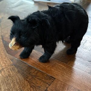 Vintage black bear real fur
